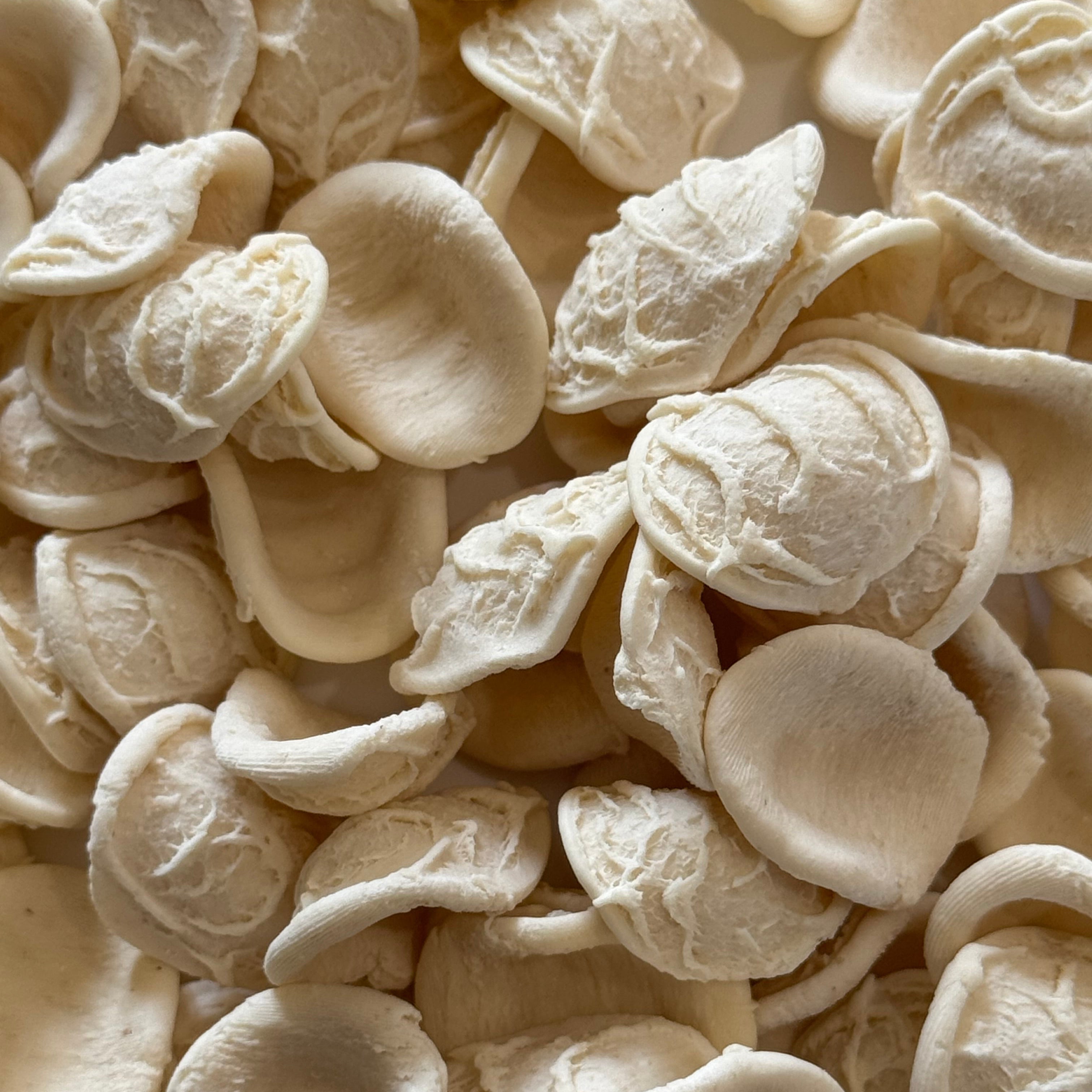 Orecchiette - Senatore Cappelli Wheat