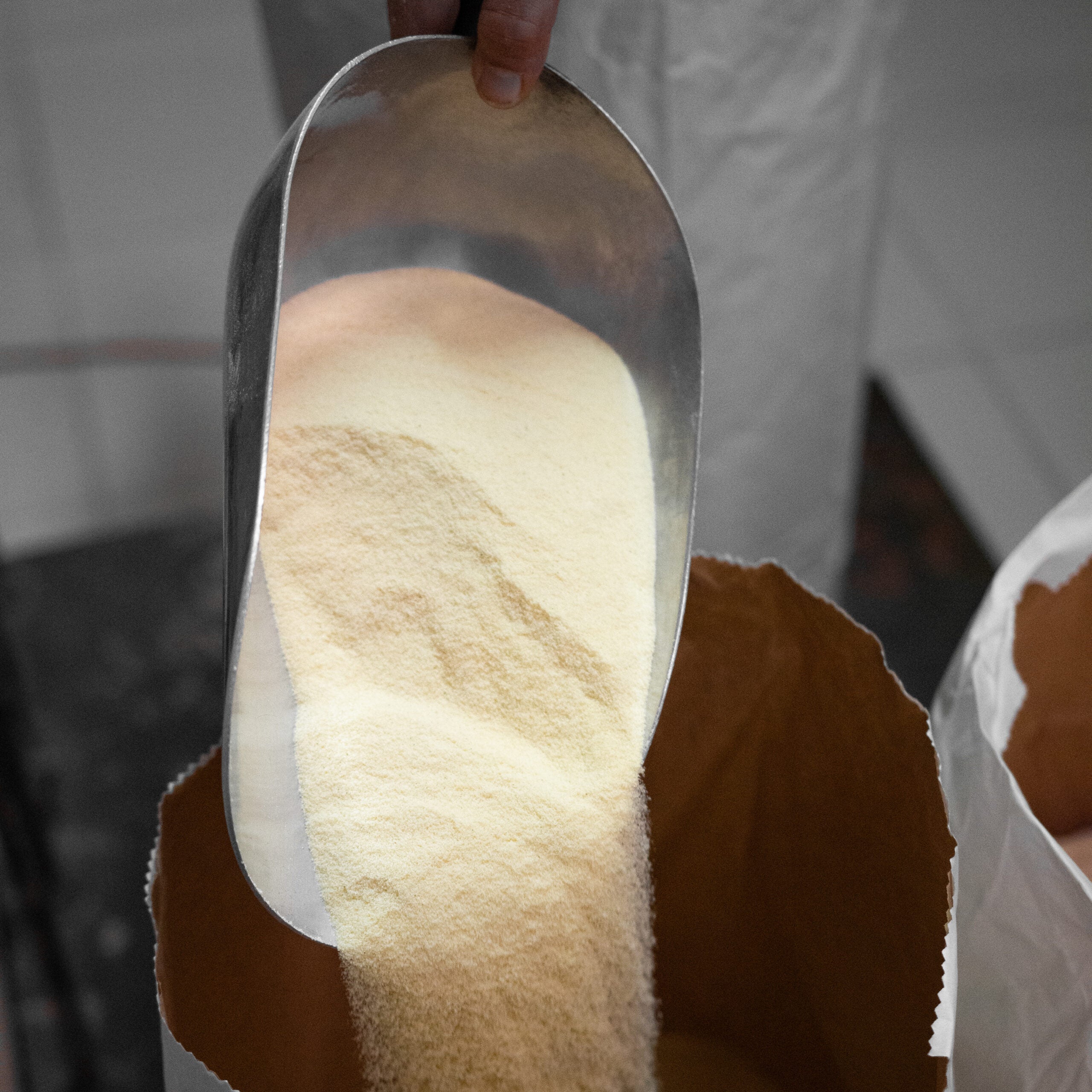 Semola Rimacinata - Grano duro "Senatore Cappelli"