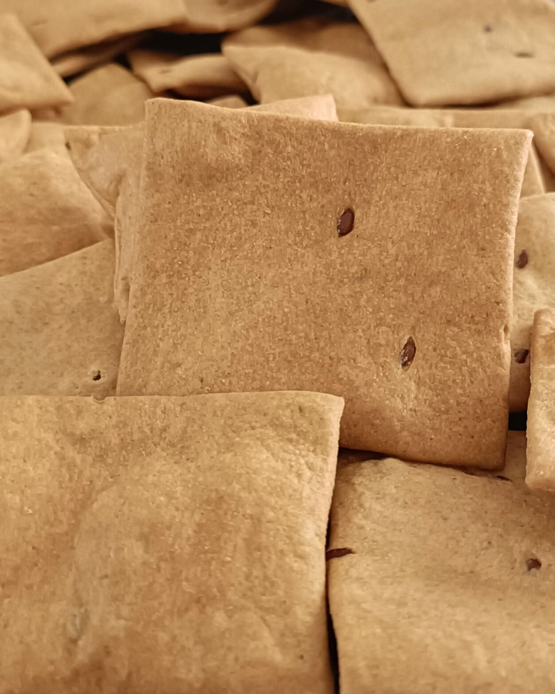 Wholemeal flaxseed squares